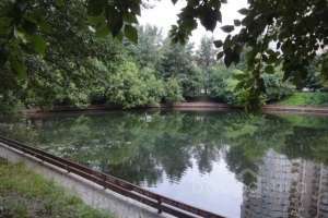 DSC06224 парки Съёмки Москва