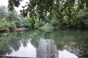 DSC06225 парки Съёмки Москва