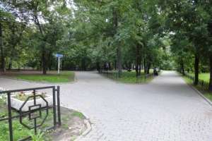 DSC06258 парки Съёмки Москва