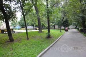 DSC06250 парки Съёмки Москва