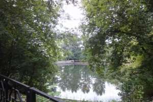 DSC06252 парки Съёмки Москва