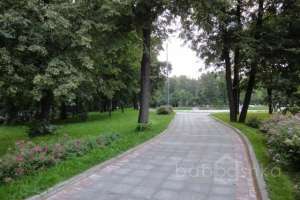 DSC05082 парки Съёмки Москва