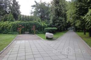 DSC05183 парки Съёмки Москва