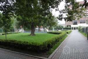 DSC05152 парки Съёмки Москва