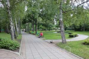 DSC05180 парки Съёмки Москва