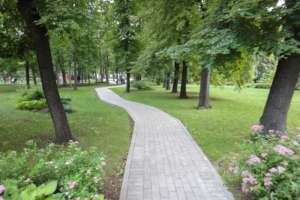 DSC05217 парки Съёмки Москва