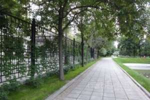 DSC05109 парки Съёмки Москва