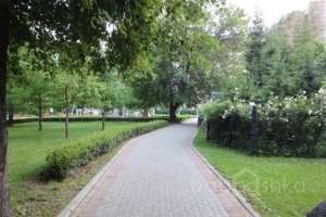 DSC05161 парки Съёмки Москва