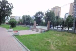 DSC06316 парки Съёмки Москва