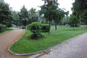 DSC06326 парки Съёмки Москва