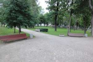 DSC06341 парки Съёмки Москва