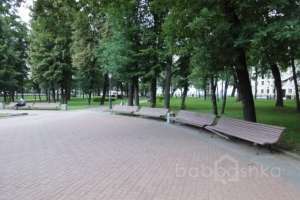 DSC06366 парки Съёмки Москва