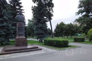 DSC06476 парки Съёмки Москва