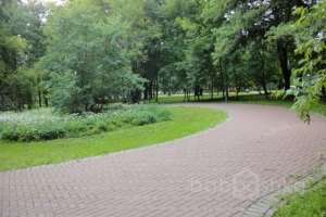 DSC03951 парки Съёмки Москва