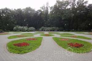 DSC04002 парки Съёмки Москва