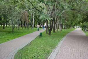 DSC03909 парки Съёмки Москва