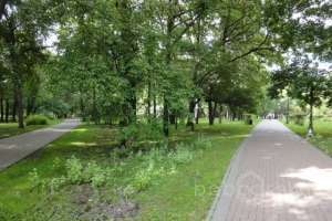 DSC03875 парки Съёмки Москва