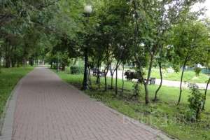 DSC03908 парки Съёмки Москва