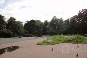 DSC03905 парки Съёмки Москва