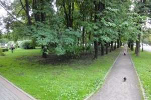 DSC04013 парки Съёмки Москва