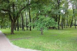 DSC03919 парки Съёмки Москва