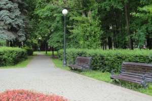 DSC03989 парки Съёмки Москва