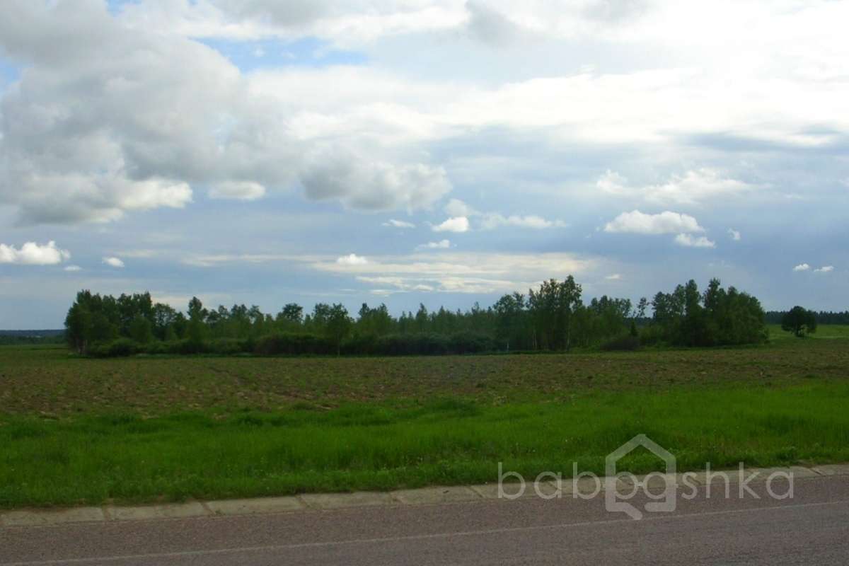 DSCN2797 дороги 