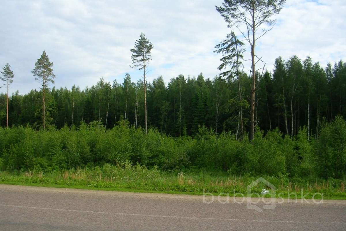 DSCN2775 дороги 