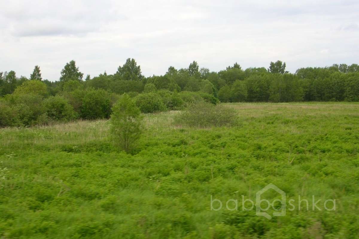 DSCN2810 дороги 