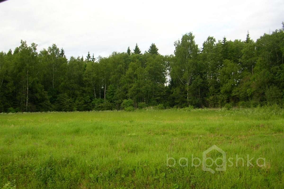 DSCN2792 дороги 