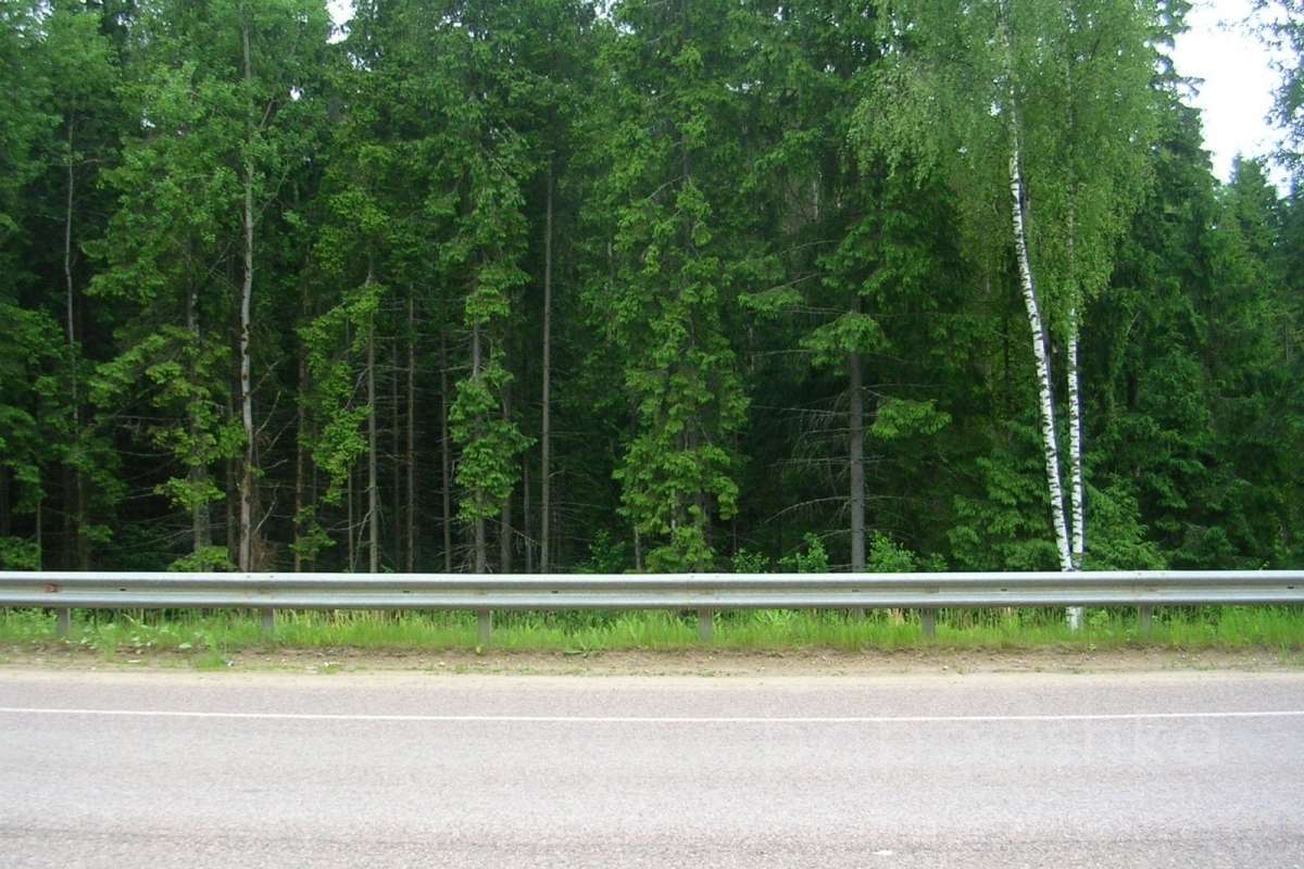 DSCN2754 дороги 