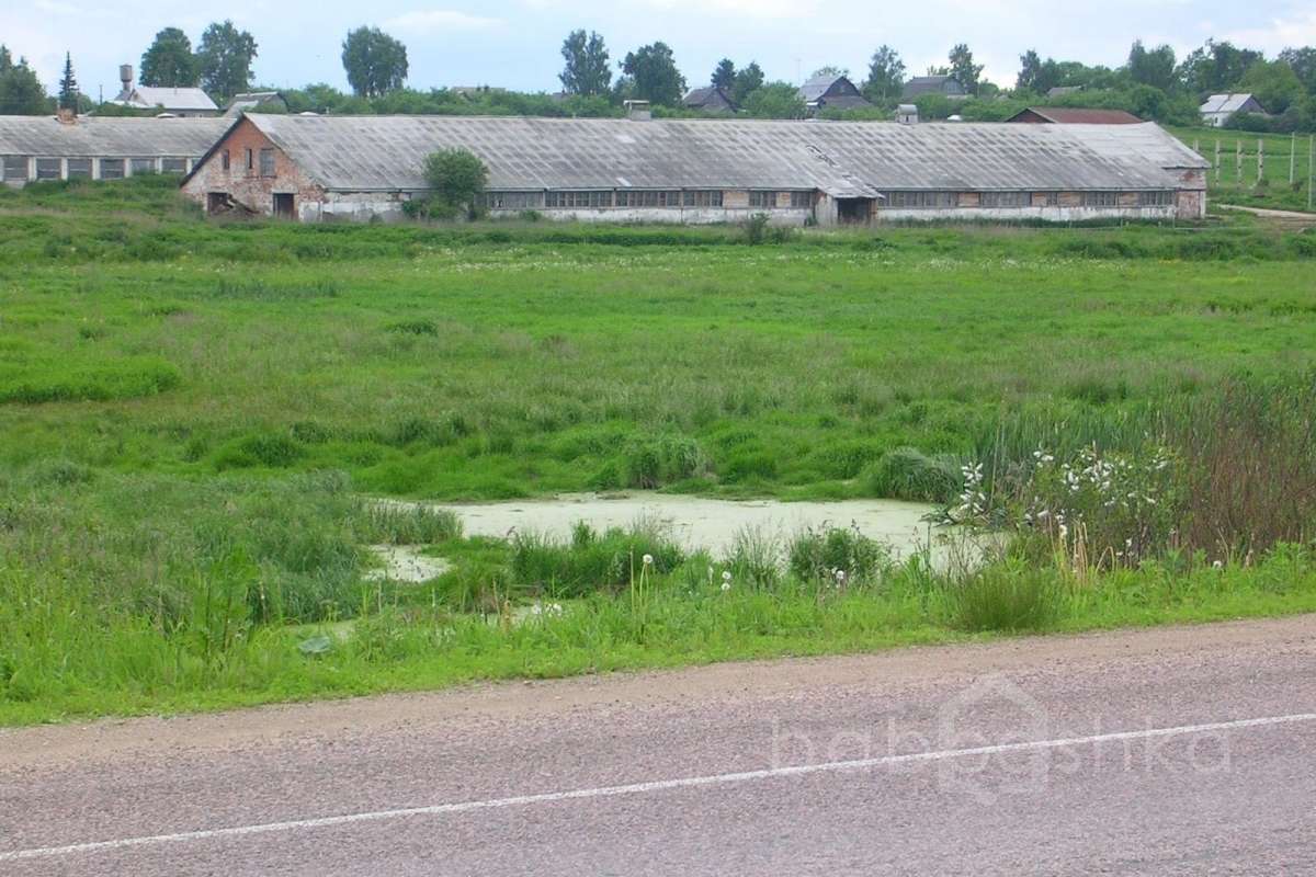 DSCN2821 дороги 