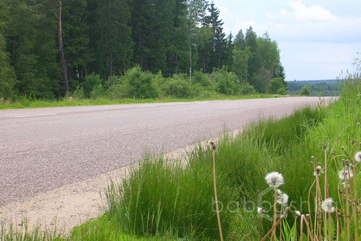 DSCN2786 дороги 