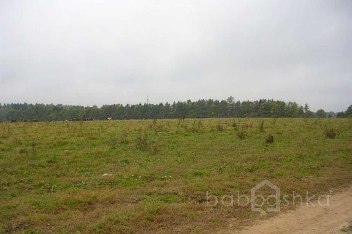 DSCN2994 дороги 