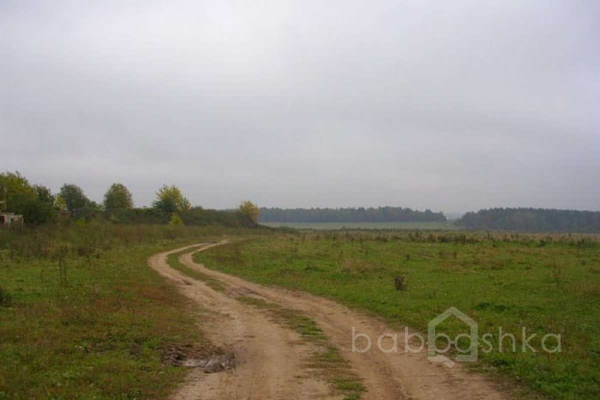 DSCN2997 дороги 