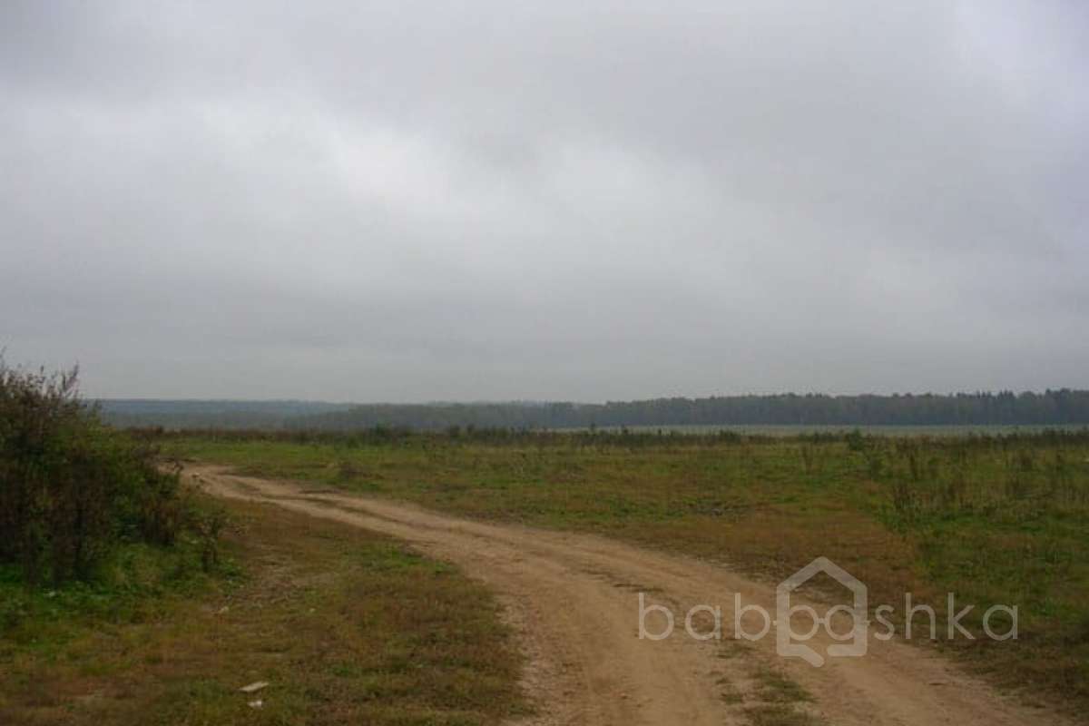 DSCN2993 дороги 