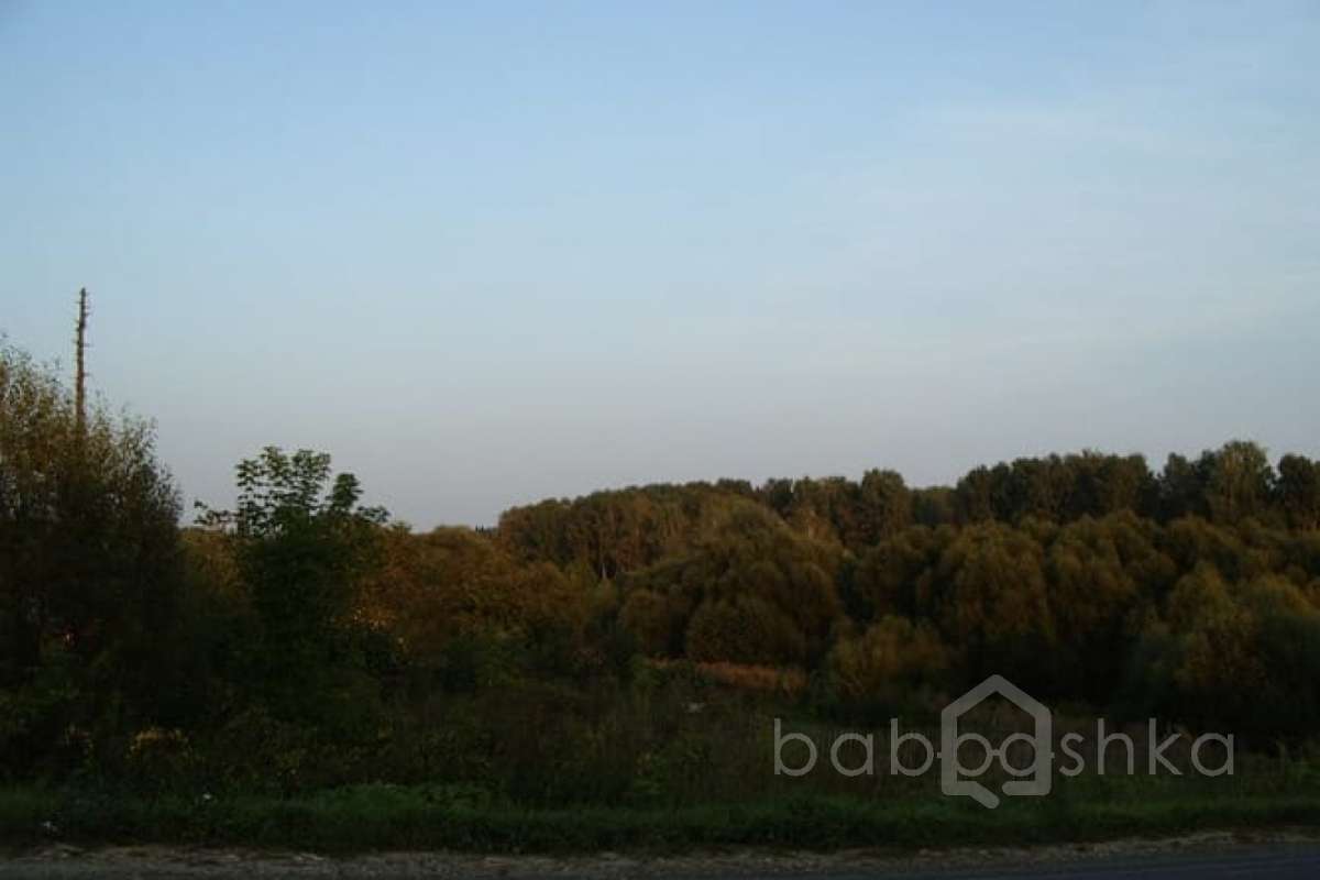 IMGP1341_resize дороги 