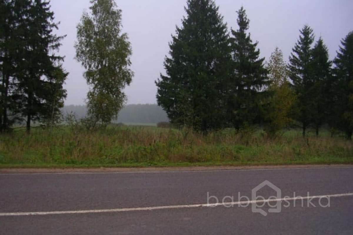 DSCN2910 дороги 