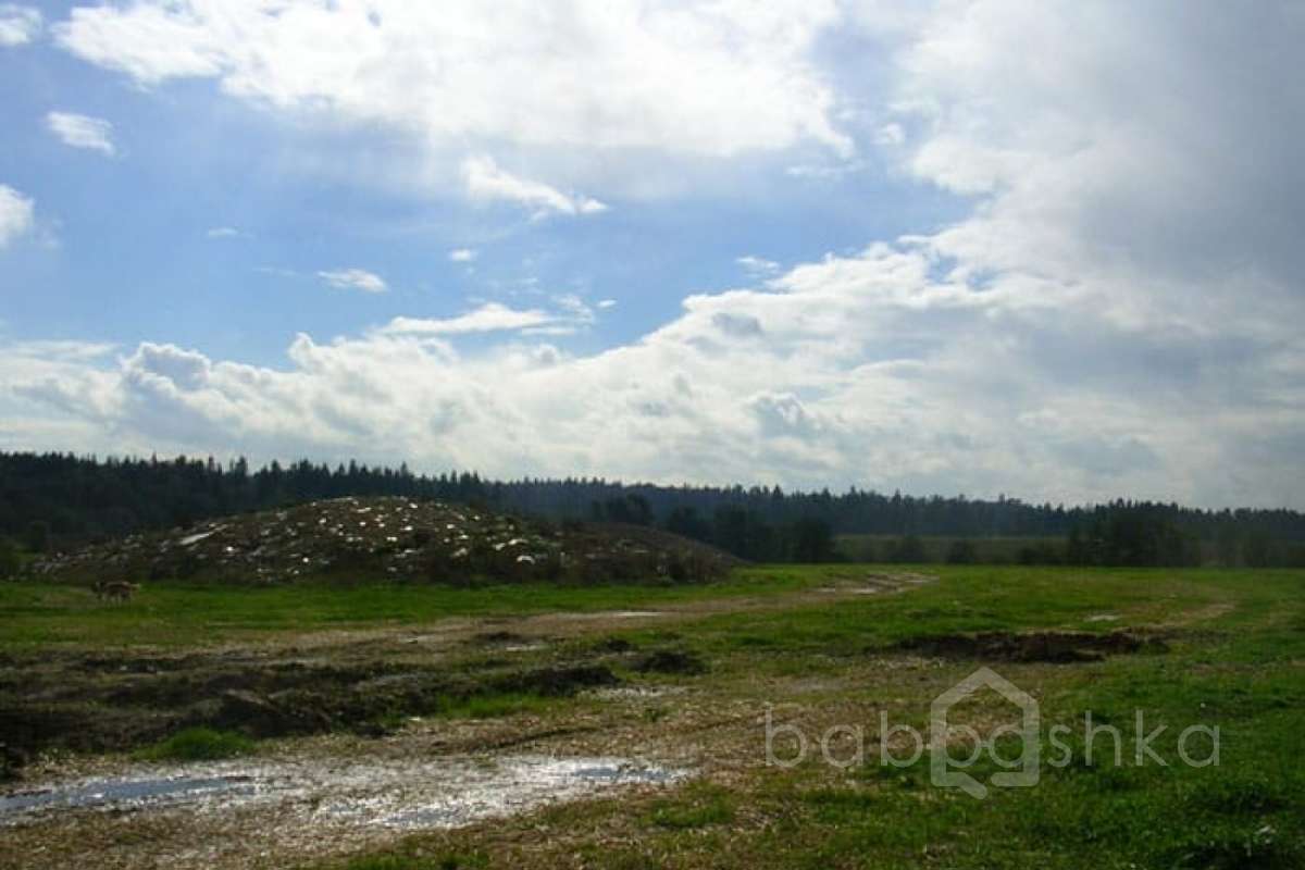 DSCN2817 дороги 