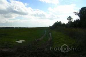 DSCN2828 дороги Съёмки Москва