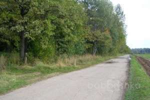 DSCN2822 дороги Съёмки Москва