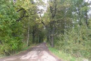 DSCN2826 дороги Съёмки Москва