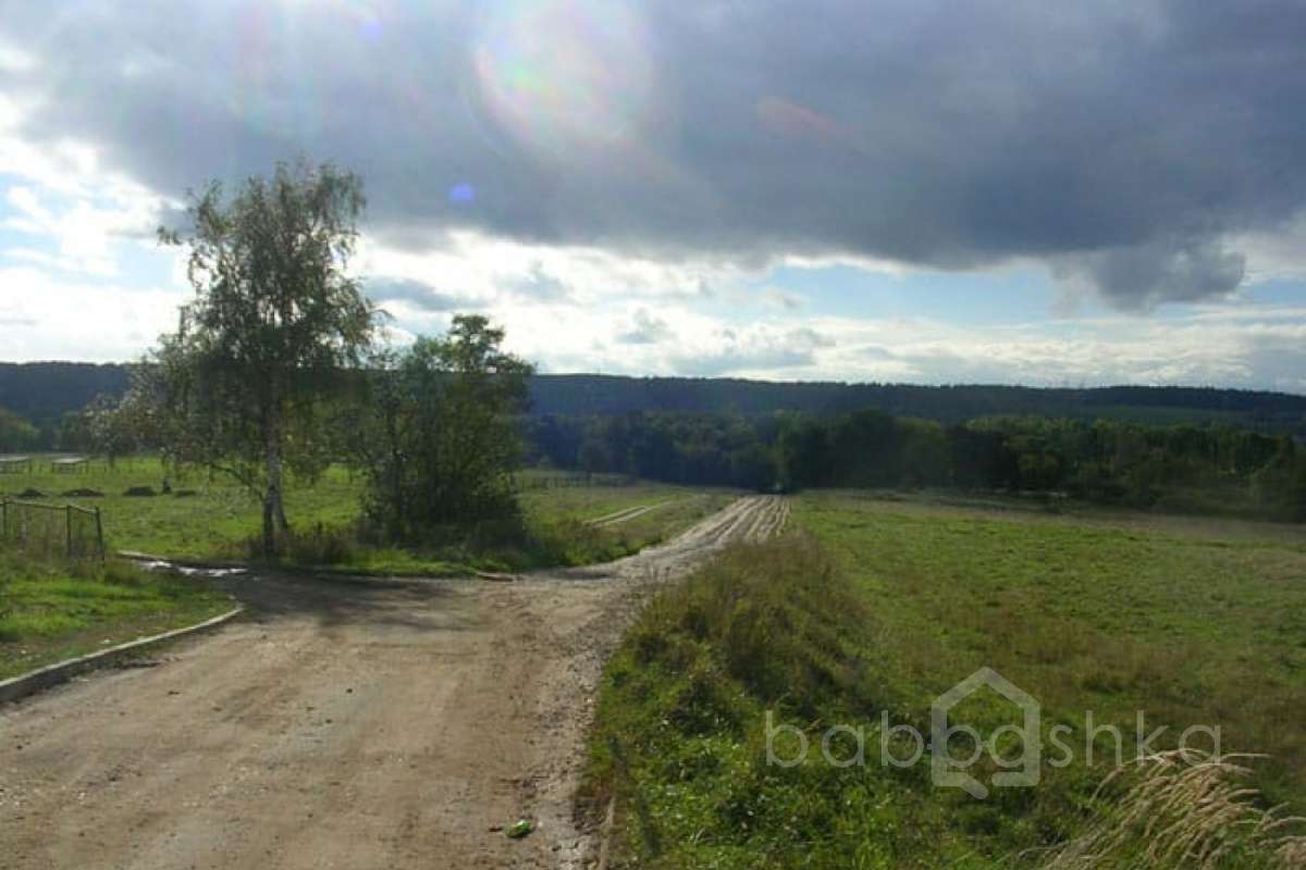 DSCN2866 дороги 