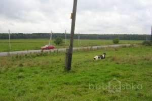 DSCN2770 дороги Съёмки Москва