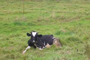 DSCN2784 дороги Съёмки Москва