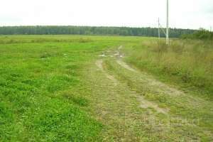 DSCN2781 дороги Съёмки Москва