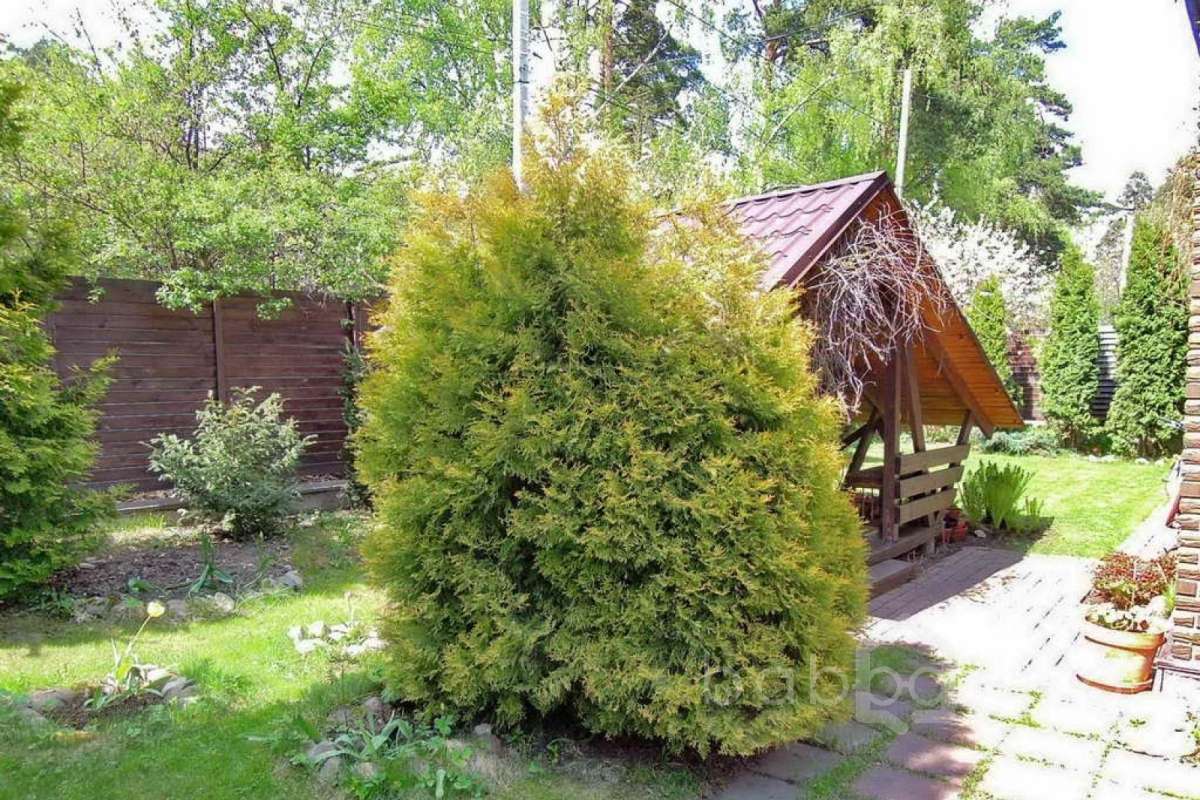 %D0%91%D0%B0%D0%BB%D0%B0%D1%88%D0%B8%D1%85%D0%B0%20(%D0%9D%D0%B0%D1%82%D0%B0%D0%BB%D1%8C%D1%8F%20%D0%9E%D0%BB%D0%B5%D0%B3%D0%BE%D0%B2%D0%BD%D0%B0)_10 дома 