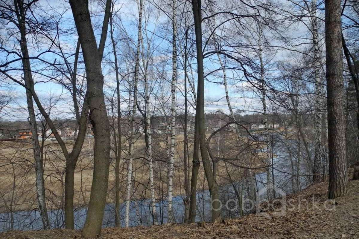 %D0%91%D0%BE%D0%BB%D1%88%D0%B5%D0%B2%D0%BE%20(%D0%A1%D0%B5%D1%80%D0%B3%D0%B5%D0%B9%20%D0%9C%D0%B0%D1%82%D0%B2%D0%B5%D0%B5%D0%B2%D0%B8%D1%87)_02 дома 