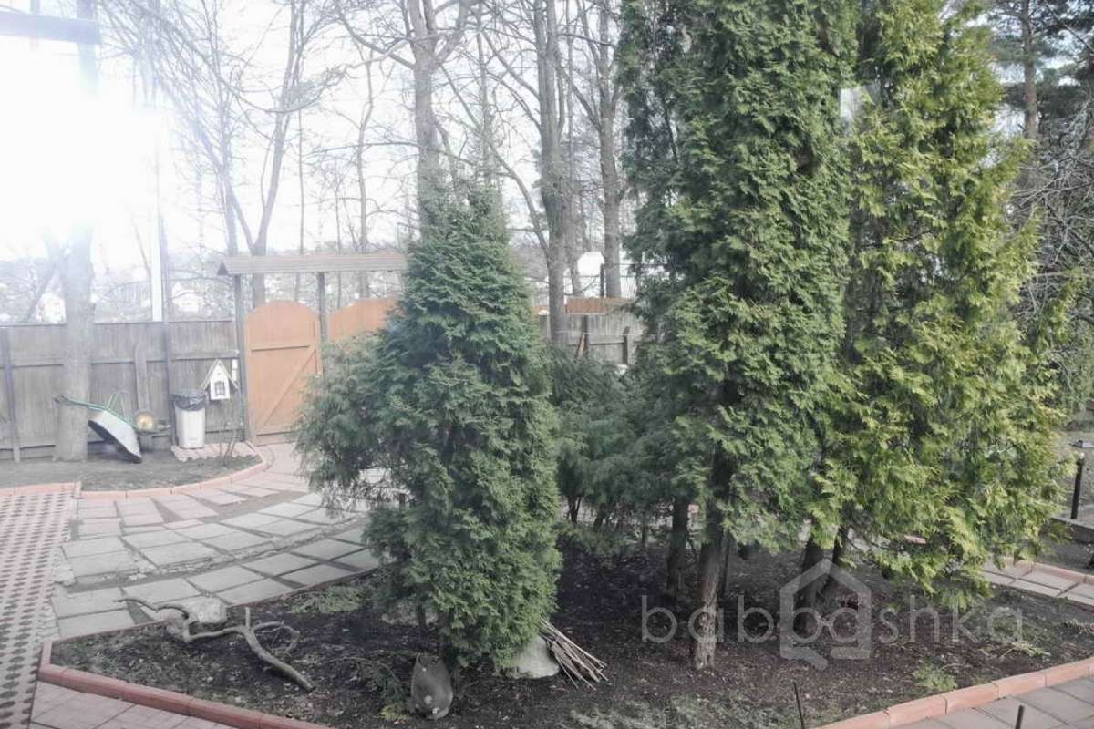 %D0%91%D0%BE%D0%BB%D1%88%D0%B5%D0%B2%D0%BE%20(%D0%A1%D0%B5%D1%80%D0%B3%D0%B5%D0%B9%20%D0%9C%D0%B0%D1%82%D0%B2%D0%B5%D0%B5%D0%B2%D0%B8%D1%87)_33 дома 