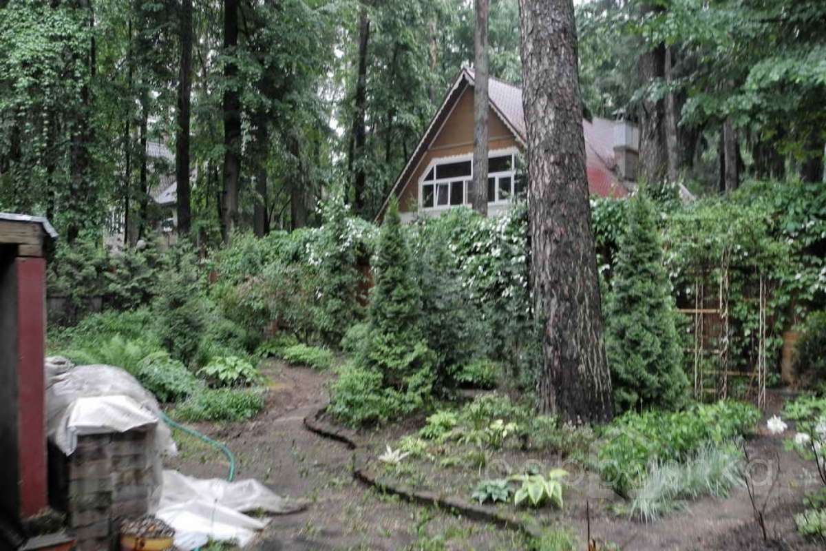 %D0%91%D0%BE%D0%BB%D1%88%D0%B5%D0%B2%D0%BE%20(%D0%9C%D0%B0%D1%80%D0%B8%D0%BD%D0%B0)_09 дома 